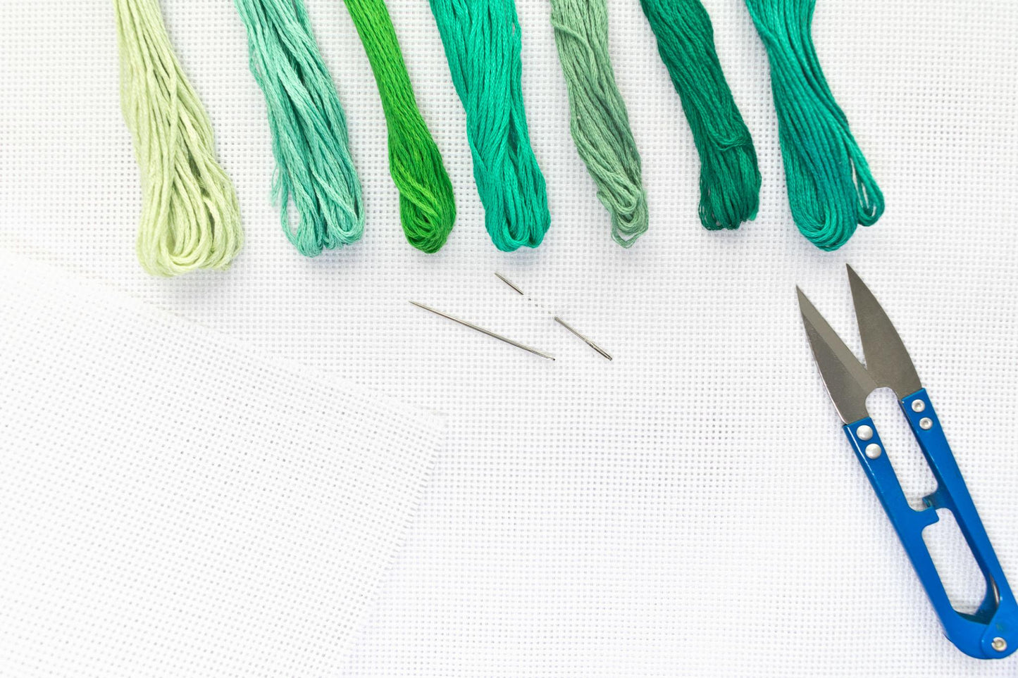Professional Canvas Sample Kit